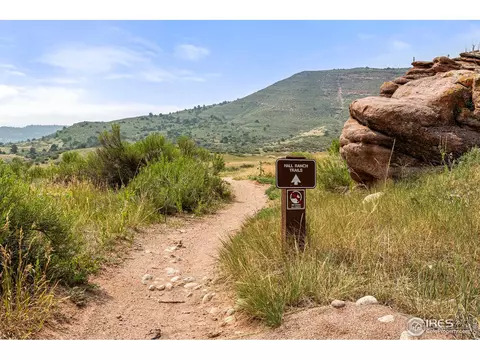 321 Seward St, Lyons, CO 80540 photo 39