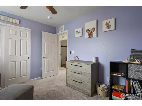 6433 Dry Fork Cir, Frederick, CO 80516 photo 23
