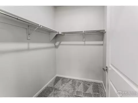 2120 Falling Leaf Dr #4, Windsor, CO 80550 photo 13