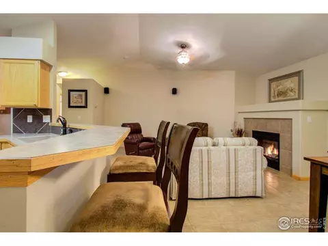 841 Durum St, Windsor, CO 80550 photo 20