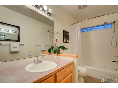841 Durum St, Windsor, CO 80550 photo 8