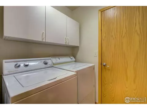 841 Durum St, Windsor, CO 80550 photo 24