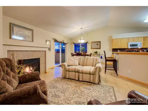 841 Durum St, Windsor, CO 80550 photo 13