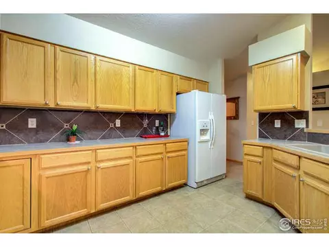 841 Durum St, Windsor, CO 80550 photo 19