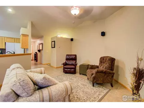 841 Durum St, Windsor, CO 80550 photo 14