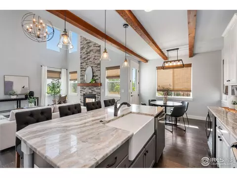 1009 Canal Dr, Windsor, CO 80550 photo 10