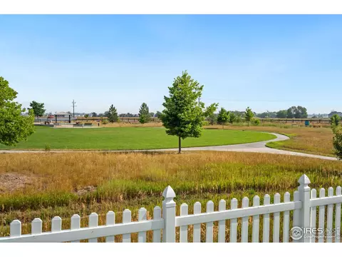 1009 Canal Dr, Windsor, CO 80550 photo 27