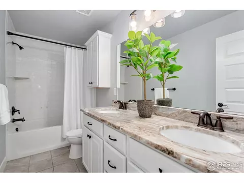 1009 Canal Dr, Windsor, CO 80550 photo 17