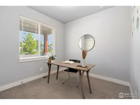 1009 Canal Dr, Windsor, CO 80550 photo 20