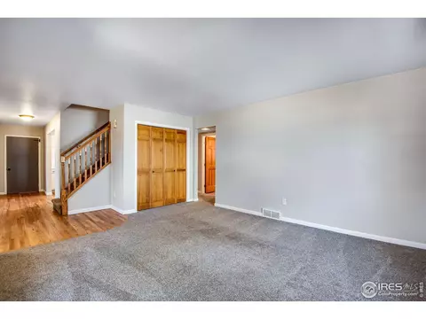 260 Mulberry Dr, Windsor, CO 80550 photo 5