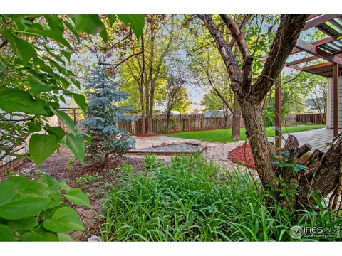 260 Mulberry Dr, Windsor, CO 80550 photo 25