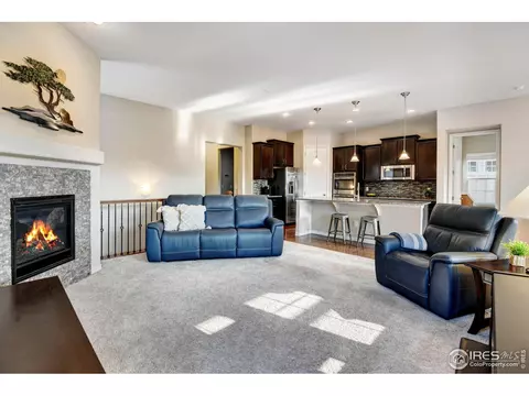 2014 Vineyard Dr, Windsor, CO 80550 photo 7