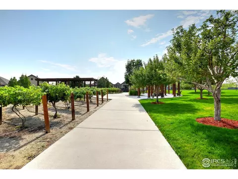 2014 Vineyard Dr, Windsor, CO 80550 photo 35