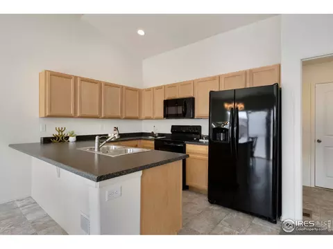1013 Axis Dr, Severance, CO 80550 photo 4