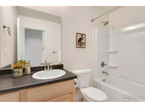 1013 Axis Dr, Severance, CO 80550 photo 23