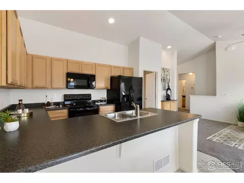 1013 Axis Dr, Severance, CO 80550 photo 8