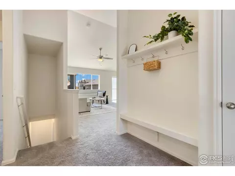 1013 Axis Dr, Severance, CO 80550 photo 3