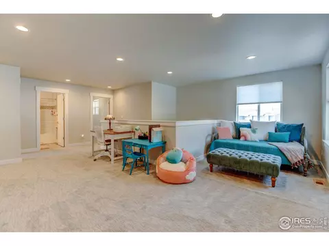 286 E Chestnut St #1, Windsor, CO 80550 photo 20