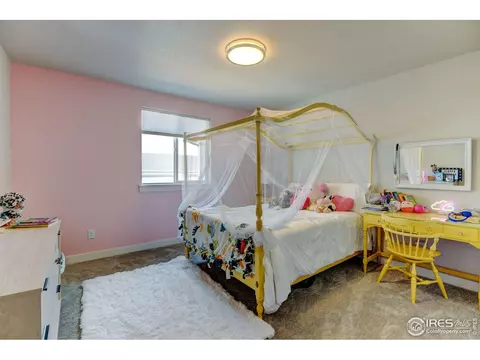 286 E Chestnut St #1, Windsor, CO 80550 photo 26