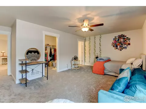 286 E Chestnut St #1, Windsor, CO 80550 photo 24