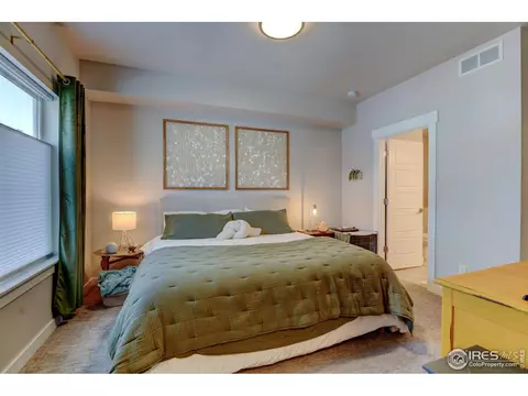 286 E Chestnut St #1, Windsor, CO 80550 photo 17