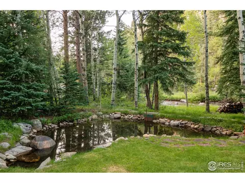 3443 Riverside Dr, Lyons, CO 80540 photo 3