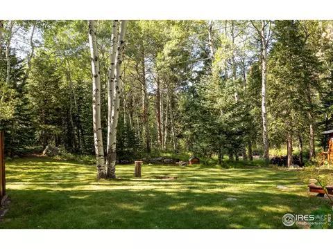 3443 Riverside Dr, Lyons, CO 80540 photo 30