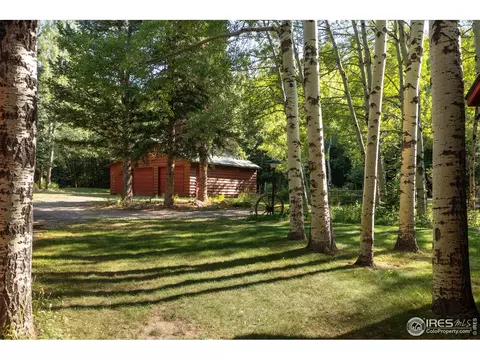 3443 Riverside Dr, Lyons, CO 80540 photo 17