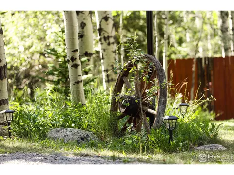 3443 Riverside Dr, Lyons, CO 80540 photo 31