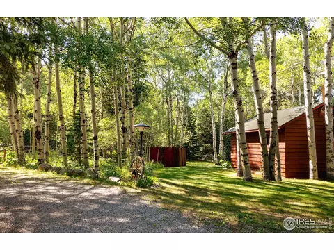 3443 Riverside Dr, Lyons, CO 80540 photo 28