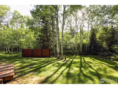 3443 Riverside Dr, Lyons, CO 80540 photo 29