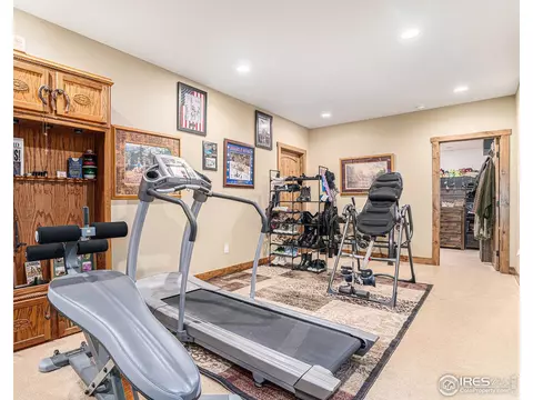 4956 Blackhawk Dr, Windsor, CO 80550 photo 26