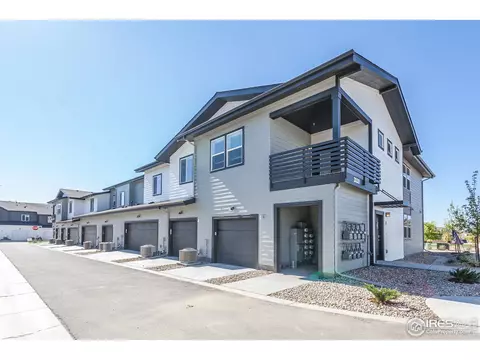 2120 Falling Leaf Dr #3, Windsor, CO 80550 photo 27