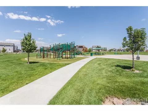 745 Camberly Dr, Windsor, CO 80550 photo 36