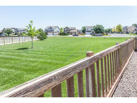 745 Camberly Dr, Windsor, CO 80550 photo 35