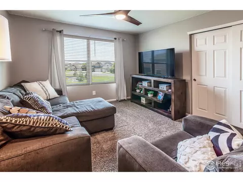 745 Camberly Dr, Windsor, CO 80550 photo 31