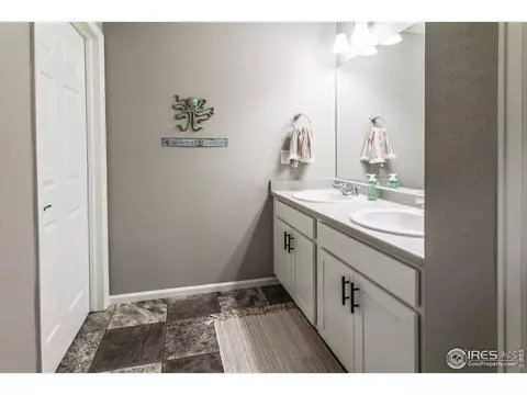 745 Camberly Dr, Windsor, CO 80550 photo 28