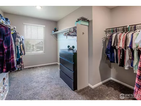 745 Camberly Dr, Windsor, CO 80550 photo 24