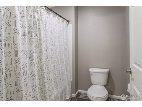 745 Camberly Dr, Windsor, CO 80550 photo 29