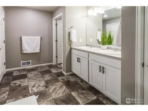 745 Camberly Dr, Windsor, CO 80550 photo 25