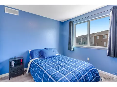 449 Kendalbrook Dr, Windsor, CO 80550 photo 20