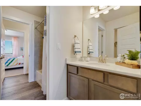 951 Ouzel Falls Rd, Severance, CO 80550 photo 23