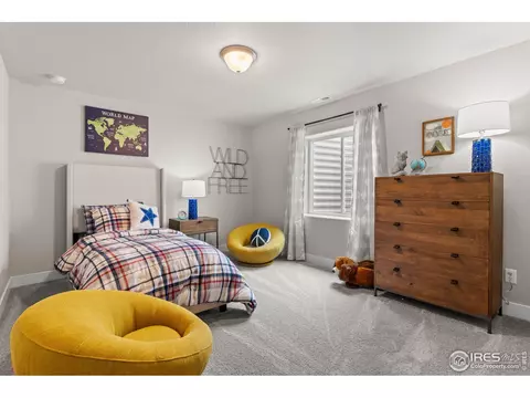 947 Ouzel Falls Rd, Severance, CO 80550 photo 29