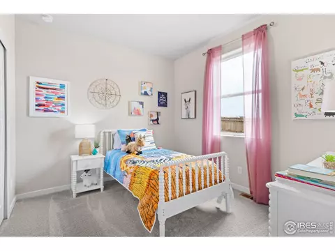947 Ouzel Falls Rd, Severance, CO 80550 photo 4
