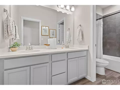 947 Ouzel Falls Rd, Severance, CO 80550 photo 5