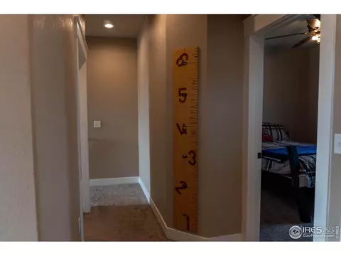 3201 Barbera St, Greeley, CO 80634 photo 20