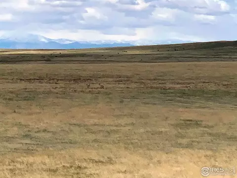 Weld County Road 55, Ault, CO 80610 photo 5