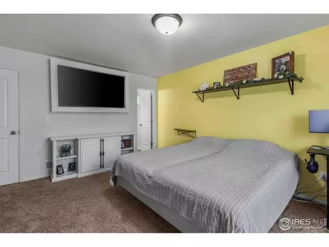 704 Takin Dr, Severance, CO 80550 photo 23