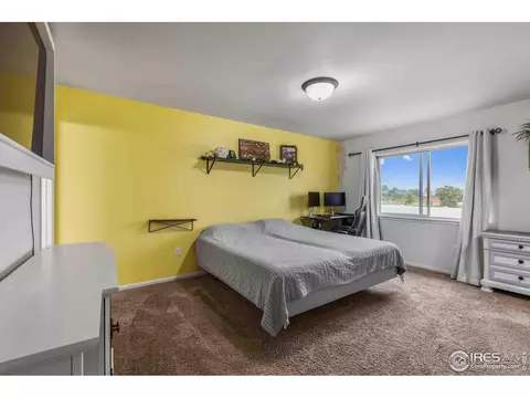 704 Takin Dr, Severance, CO 80550 photo 22