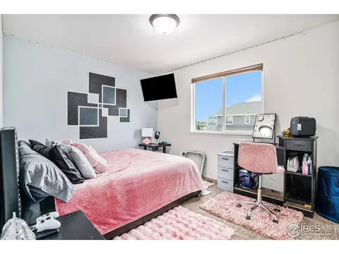 338 Mt Bross Ave, Severance, CO 80550 photo 18